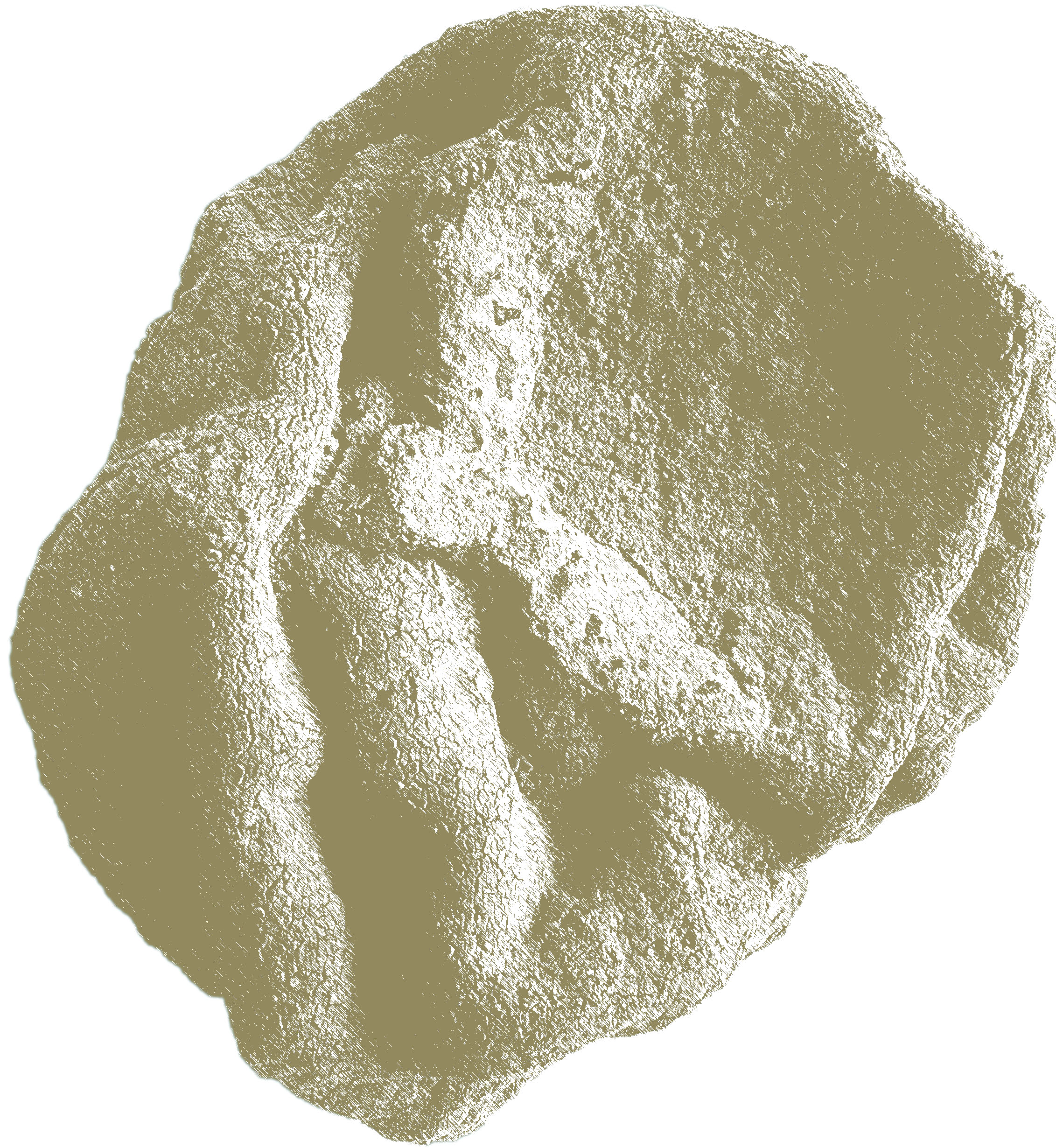 Mould Chains graphic